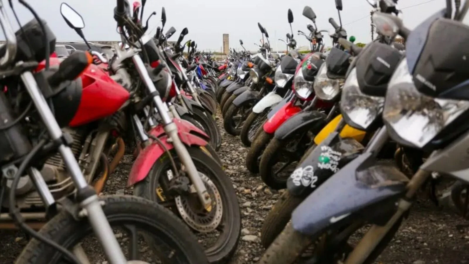 Foto: Divulgação/Governo de SPCoisas para fazer perto de São Paulo